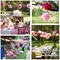 20 Pcs Paper Pom Poms Kit Decor, Tissue Paper Flowers for Birthday, Wedding, Bachelorette, Baby Shower, Girl Nursery Decoration (Pink Mix)